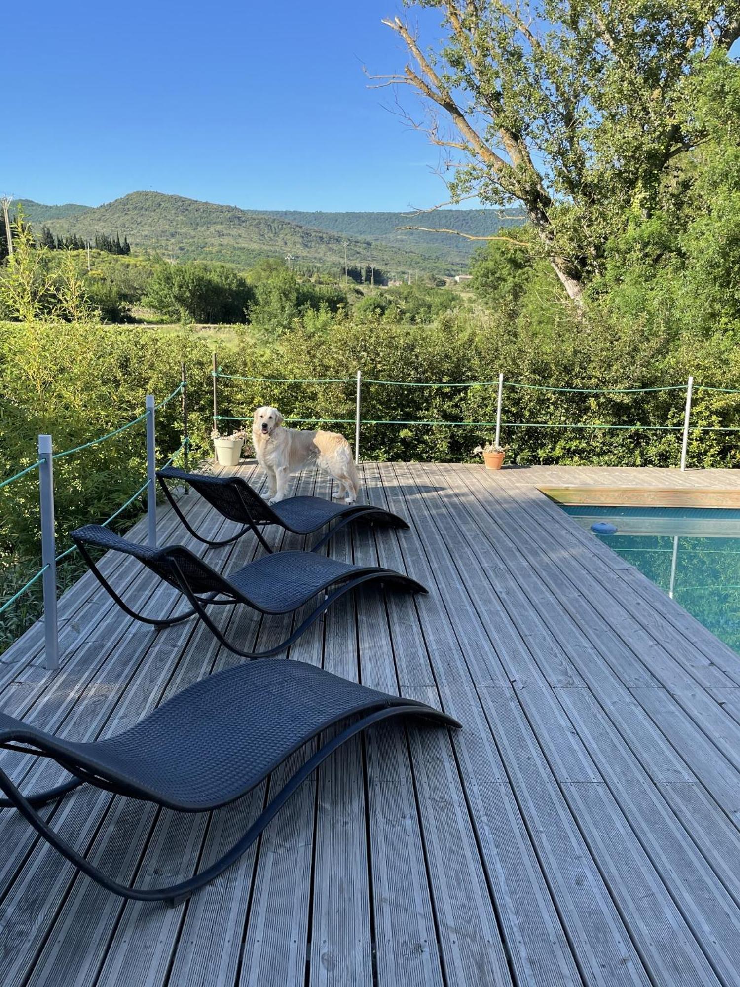Le Domaine De La Tuilerie - Gite De Charme En Bord De Riviere Avec Piscine Servies-en-Val Bagian luar foto