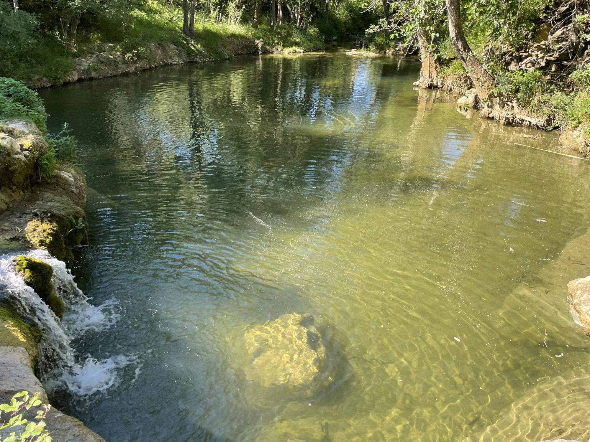 Le Domaine De La Tuilerie - Gite De Charme En Bord De Riviere Avec Piscine Servies-en-Val Bagian luar foto